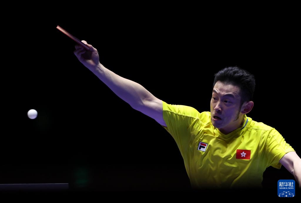 无论是他的 无论是他的